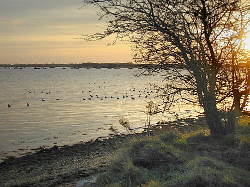Langstone Harbour